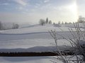 DSC02424